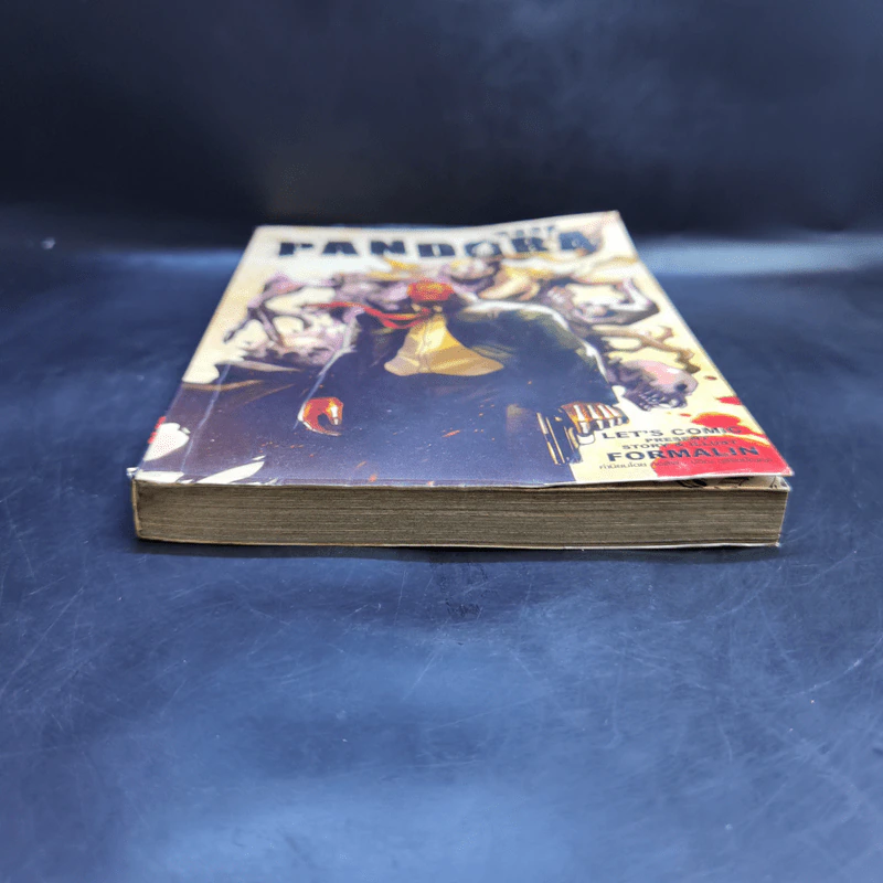 Pandora Book รูปที่ 4