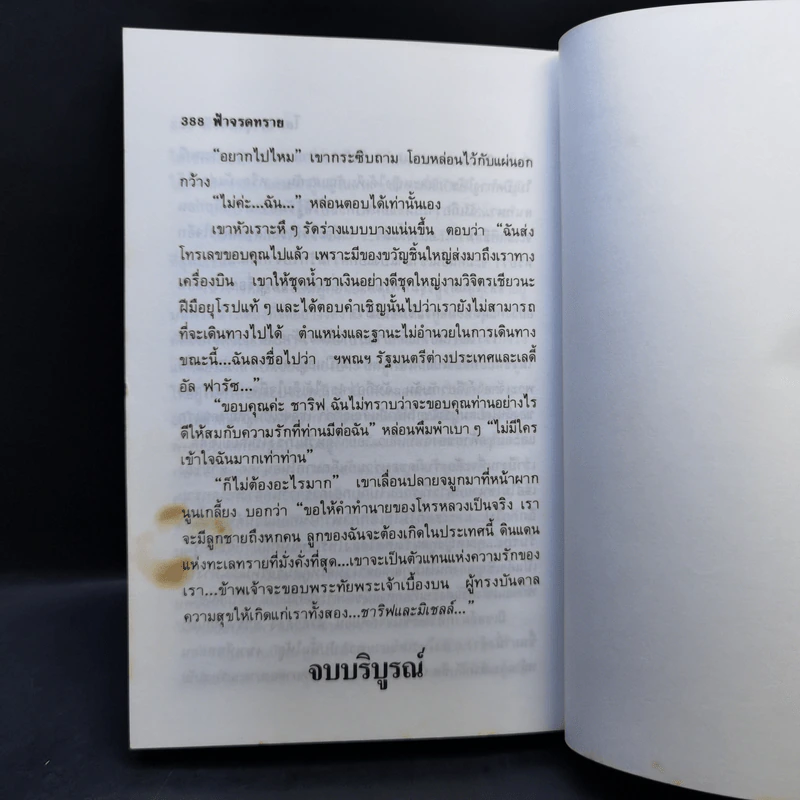 ฟ้าจรดทราย 2 เล่มจบ - โสภาค สุวรรณ รูปที่ 12