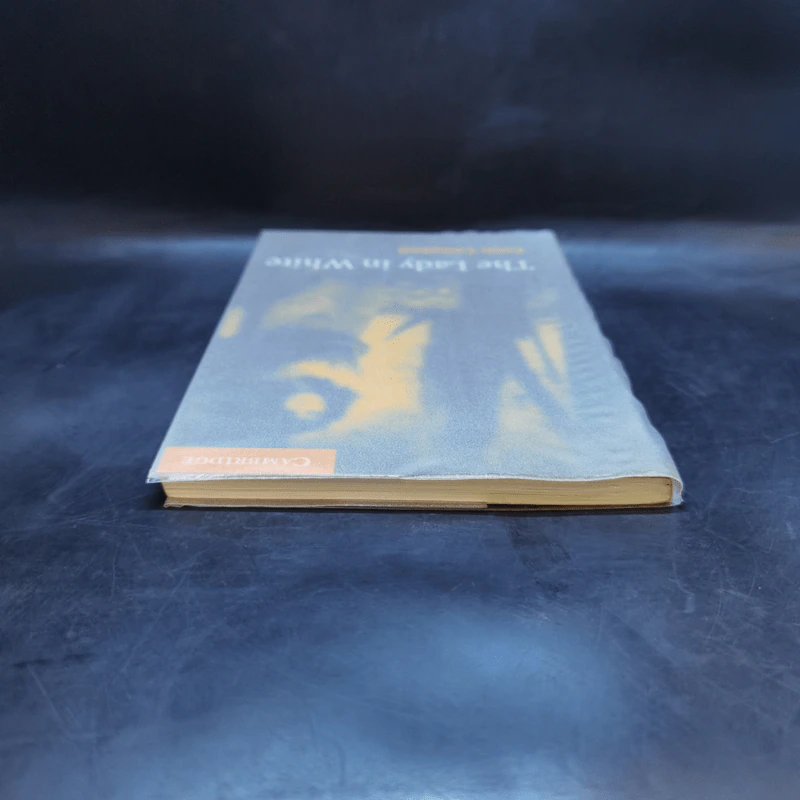 The Lady in White - Cambridge Level 4 รูปที่ 6