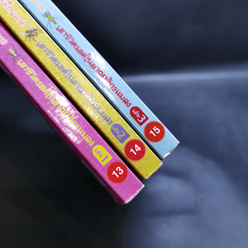 เอาชีวิตรอดในอาณาจักรแมลง เล่ม 1-3 รูปที่ 18