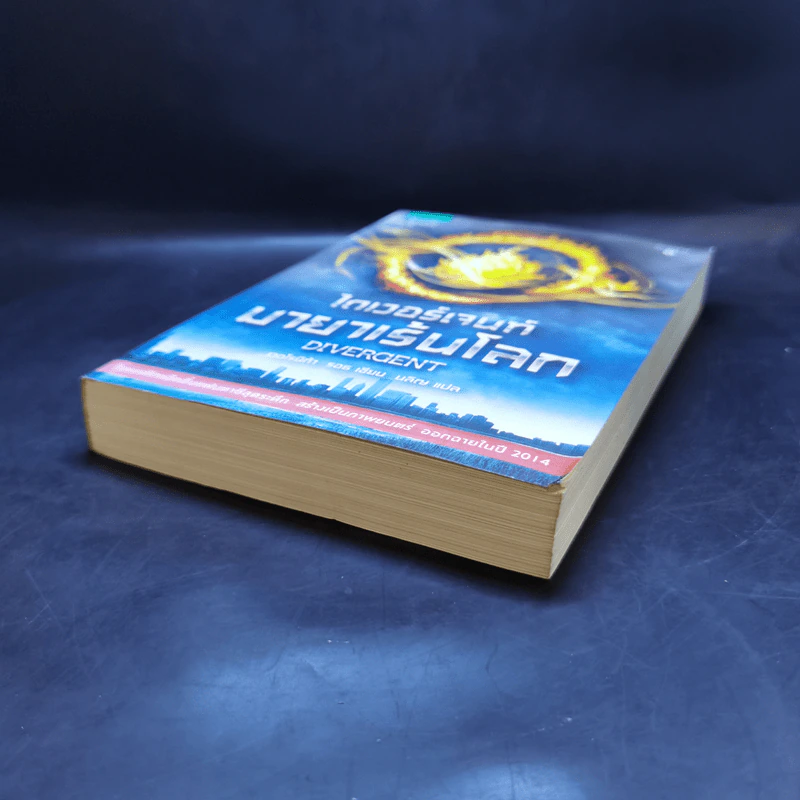 ไดเวอร์เจนท์ มายาเร้นโลก : Divergent - Veronica Roth (เวอโรนิก้า รอธ) รูปที่ 7