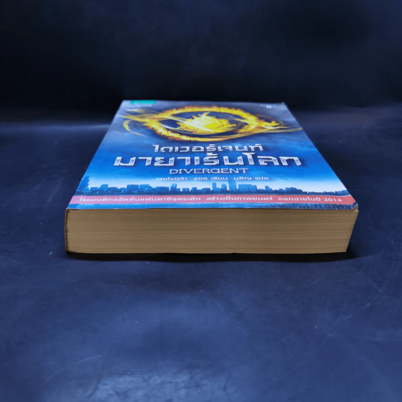 ไดเวอร์เจนท์ มายาเร้นโลก : Divergent - Veronica Roth (เวอโรนิก้า รอธ) รูปที่ 4