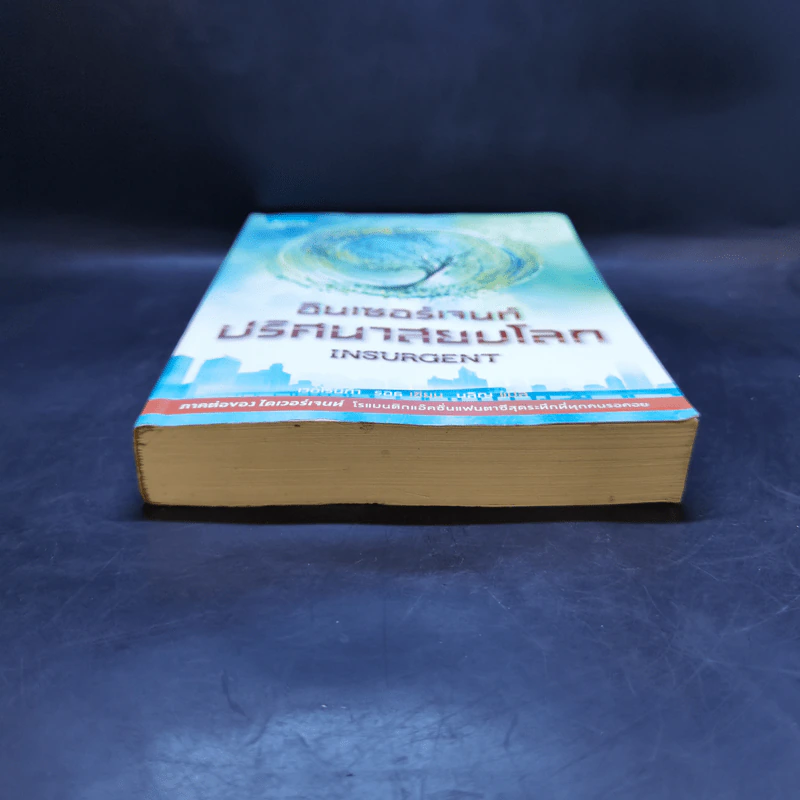 Insurgent อินเซอร์เจนท์ ปริศนาสยบโลก - เวอโรนิก้า รอธ รูปที่ 4