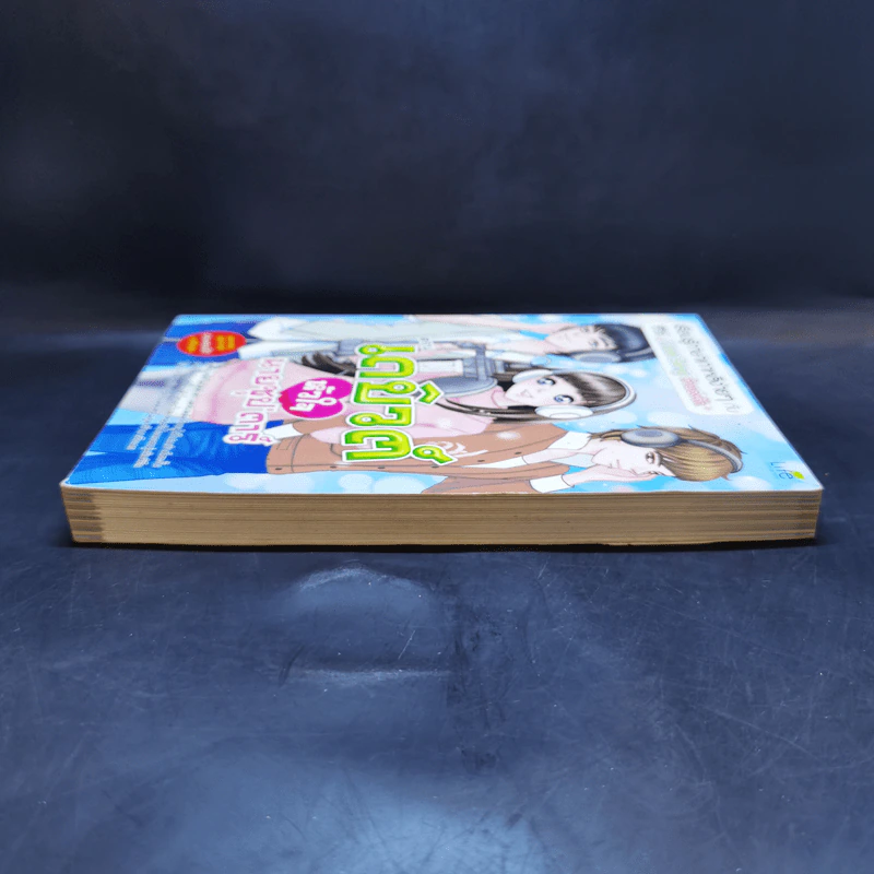 เรียนรู้ภาษาเกาหลีง่ายๆกับซีรีส์ Love Song ทำนองรัก ตอน เดบิวต์หัวใจนายซุป'ตาร์ รูปที่ 5
