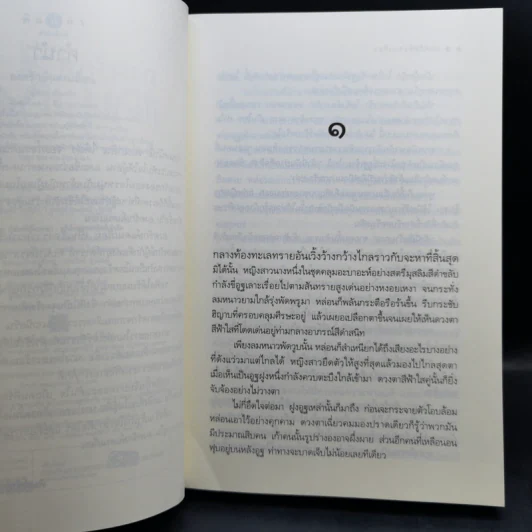 นิยายชุดแดนเถื่อน องครักษ์แดนเถื่อน + ราชันแดนเถื่อน + จอมโจรแดนเถื่อน - ซ่อนกลิ่น รูปที่ 9