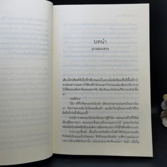 นิยายชุด Love Secret : พระจันทร์ซ่อนหา + เลื่อมลายรุ้ง + ตะวันรุ่งที่ปลายฟ้า - อุมาริการ์, เก้าแต้ม, ซ่อนกลิ่น รูปที่ 15