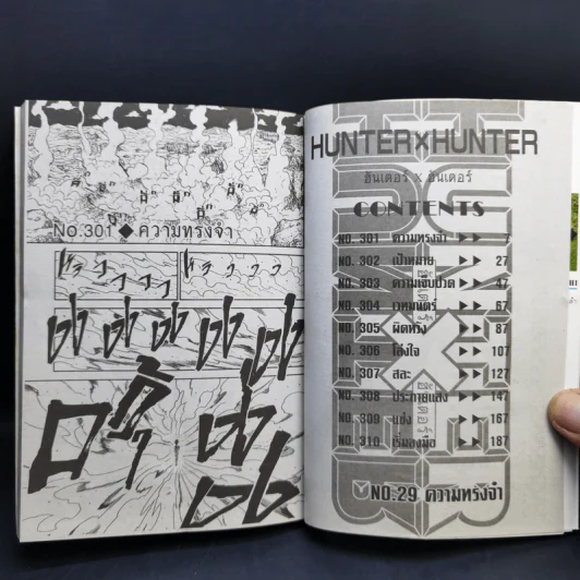 Hunter X Hunter ฮันเตอร์ X ฮันเตอร์ เล่ม 29 รูปที่ 8