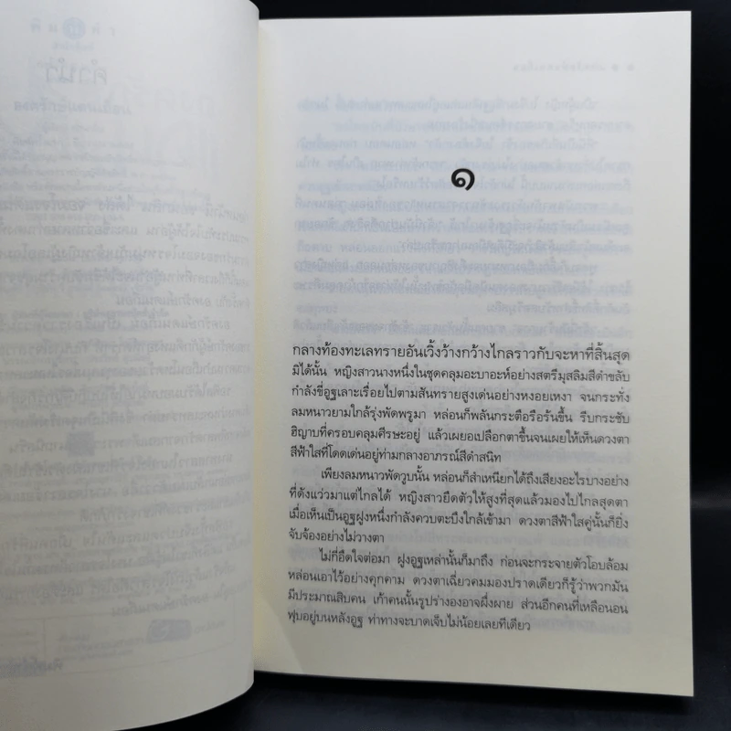 นิยายชุดแดนเถื่อน องครักษ์แดนเถื่อน + ราชันแดนเถื่อน + จอมโจรแดนเถื่อน - ซ่อนกลิ่น รูปที่ 9
