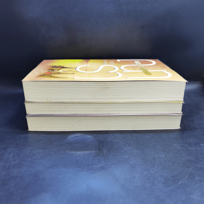 ชุด กาลเวลา สงคราม ความรัก 3 เล่ม นักรบแห่งมาซิดอน, ขุมทรัพย์แห่งมาซิดอน, ทายาทแห่งมาซิดอน - ณารา รูปที่ 4