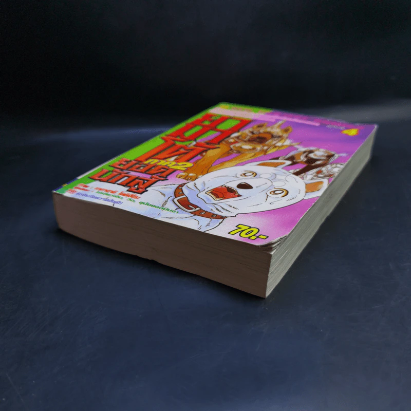 ยามาโต้ยอดนักสู้ เล่ม 4 รูปที่ 7