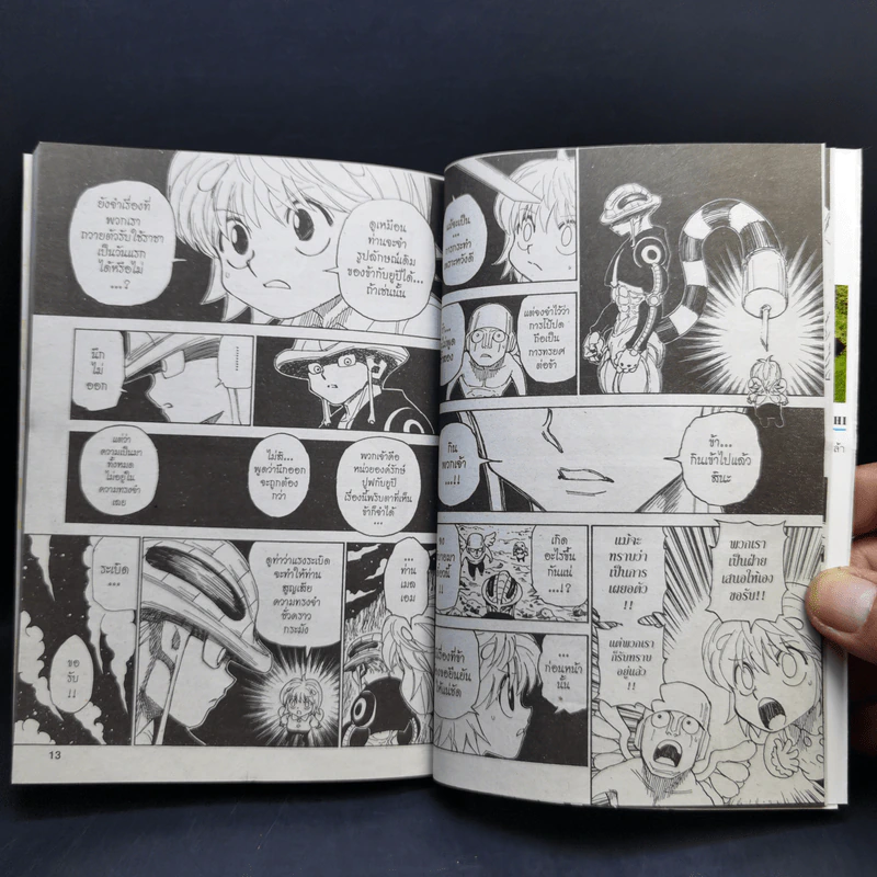 Hunter X Hunter ฮันเตอร์ X ฮันเตอร์ เล่ม 29 รูปที่ 10