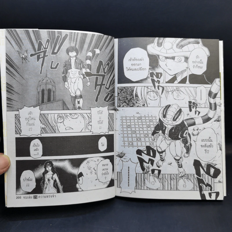 Hunter X Hunter ฮันเตอร์ X ฮันเตอร์ เล่ม 29 รูปที่ 11
