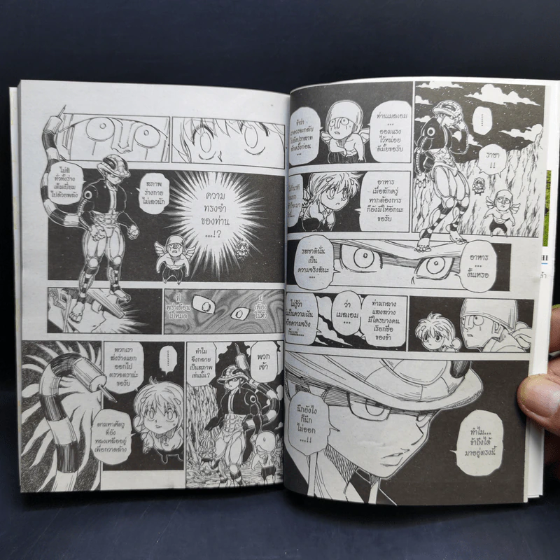 Hunter X Hunter ฮันเตอร์ X ฮันเตอร์ เล่ม 29 รูปที่ 9