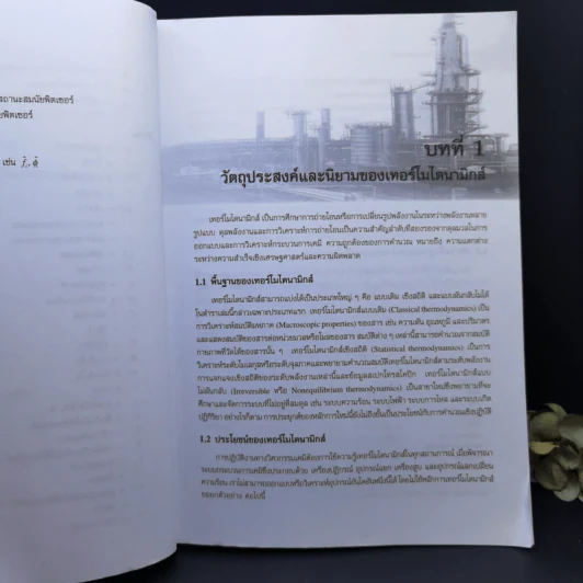 เทอร์โมไดนามิกส์ วิศวกรรมเคมี - ภัทรพรรณ ประศาสน์สารกิจ รูปที่ 12
