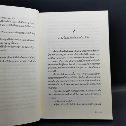โซ่รักนางฟ้า - ภัคธร รูปที่ 10