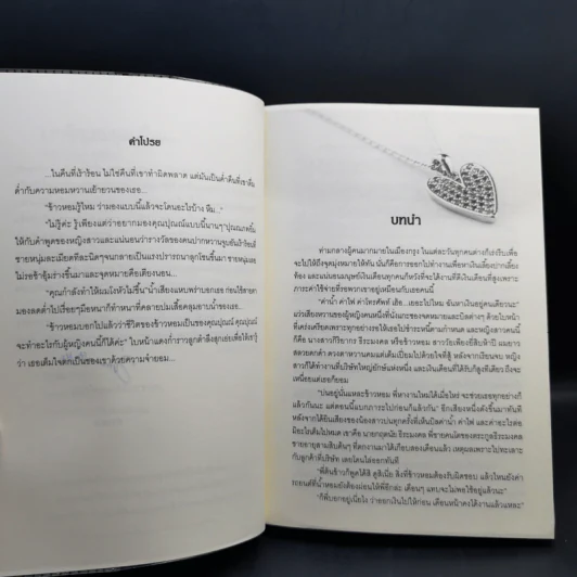 เงารักเทพบุตรร้าย - ว่านดาว รูปที่ 9