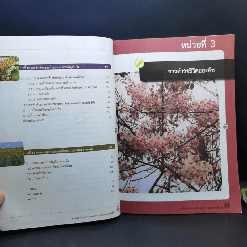 ชีววิทยา เล่ม 3 ชั้นมัธยมศึกษาปีที่ 4-6 รูปที่ 11