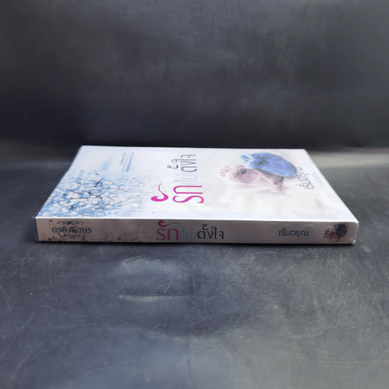 รัก (ไม่) ตั้งใจ - เริ่มอรุณ รูปที่ 3
