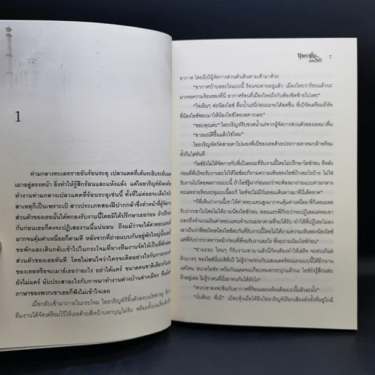 นิยายชุด อัญมณีกลางเพลิงทราย 4 เล่ม Boxset รูปที่ 20