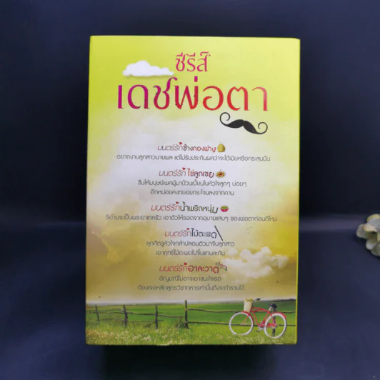 นิยายชุดซีรีส์เดชพ่อตา 5 เล่ม Boxset รูปที่ 2