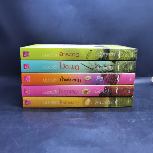 นิยายชุดซีรีส์เดชพ่อตา 5 เล่ม Boxset รูปที่ 5