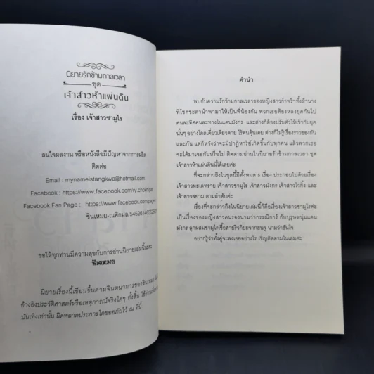 นิยายรักข้ามกาลเวลา ชุด เจ้าสาวห้าแผ่นดิน เจ้าสาวซามูไร - ซินเหมย รูปที่ 8