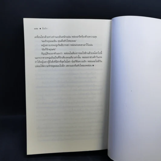 อิ่มรัก - เก้าแต้ม รูปที่ 10