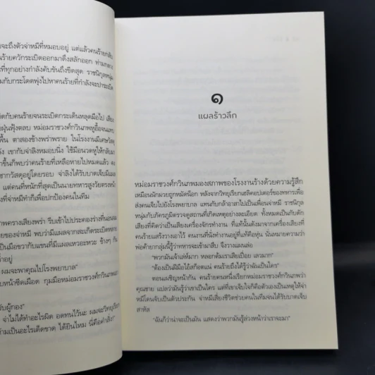 อิ่มรัก - เก้าแต้ม รูปที่ 9