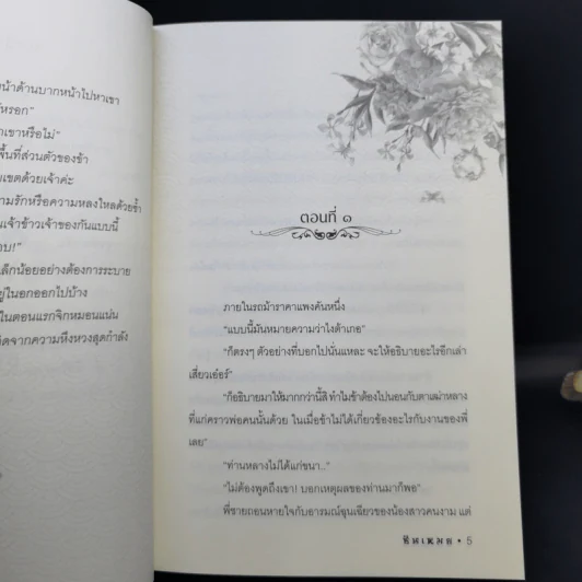 ท่านหลางกับโฉมงามเทียนเอ๋อร์ - ซินเหมย รูปที่ 8