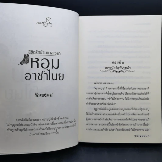 ลิขิตรักข้ามกาลเวลา หอมอาชาไนย - ซินเหมย รูปที่ 8