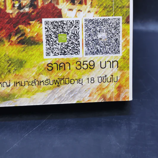 ลิขิตรักข้ามกาลเวลา หอมอาชาไนย - ซินเหมย รูปที่ 11