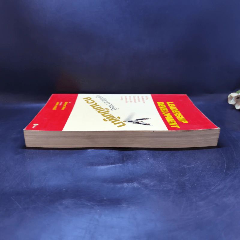Leadership Development บุคลิกภาพสู่ความเป็นผู้นำ - George Shinn รูปที่ 5