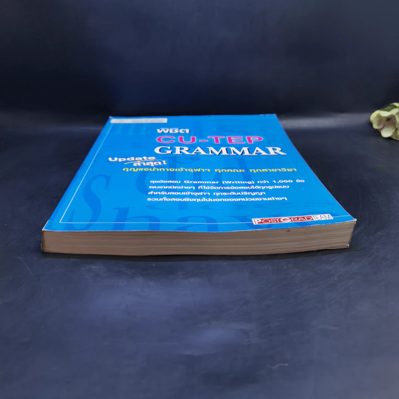 พิชิต CU-TEP Grammar รูปที่ 4
