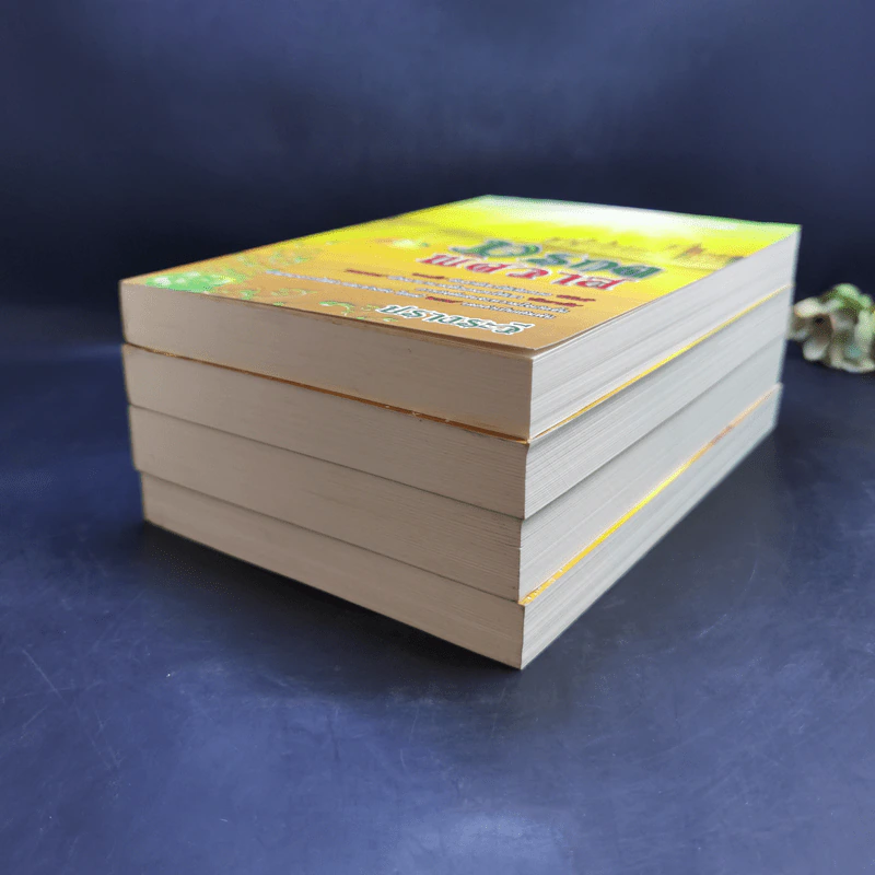 นิยายชุด อัญมณีกลางเพลิงทราย 4 เล่ม Boxset รูปที่ 9