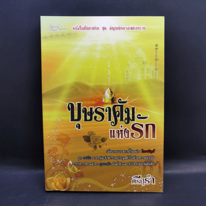 นิยายชุด อัญมณีกลางเพลิงทราย 4 เล่ม Boxset รูปที่ 18