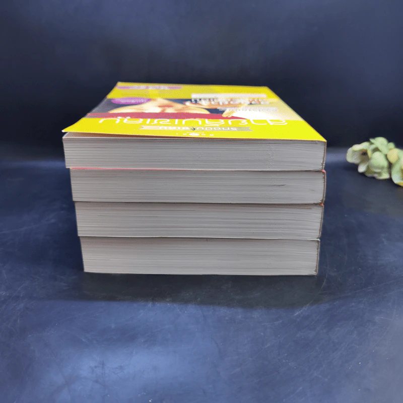 How To Love รักฉบับเซเลบ 4 เล่ม Boxset รูปที่ 8