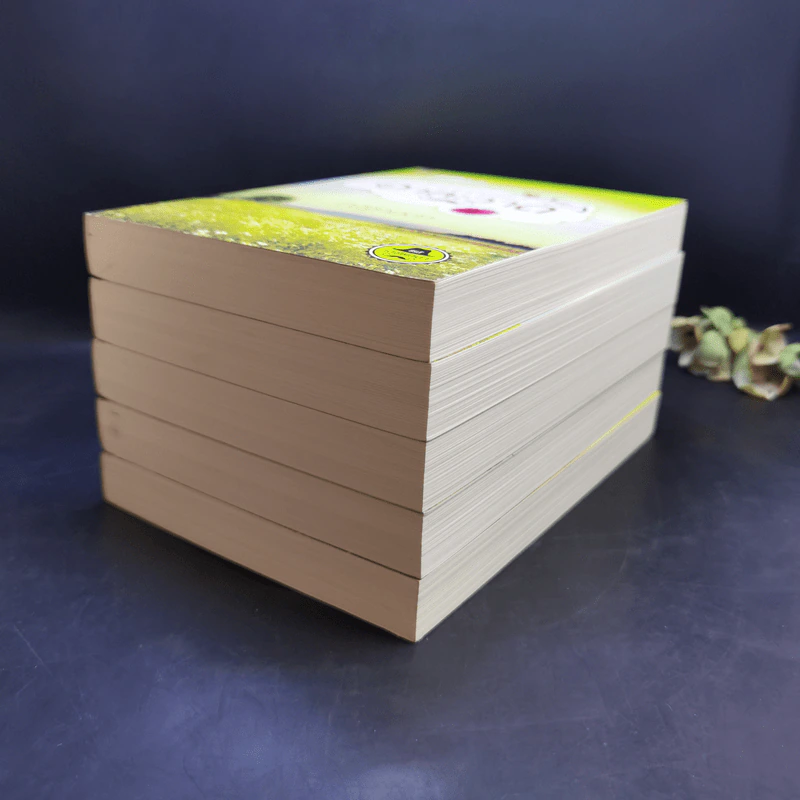 นิยายชุดซีรีส์เดชพ่อตา 5 เล่ม Boxset รูปที่ 9