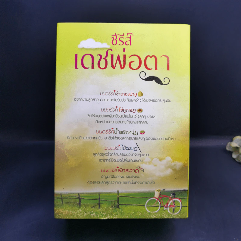 นิยายชุดซีรีส์เดชพ่อตา 5 เล่ม Boxset รูปที่ 2