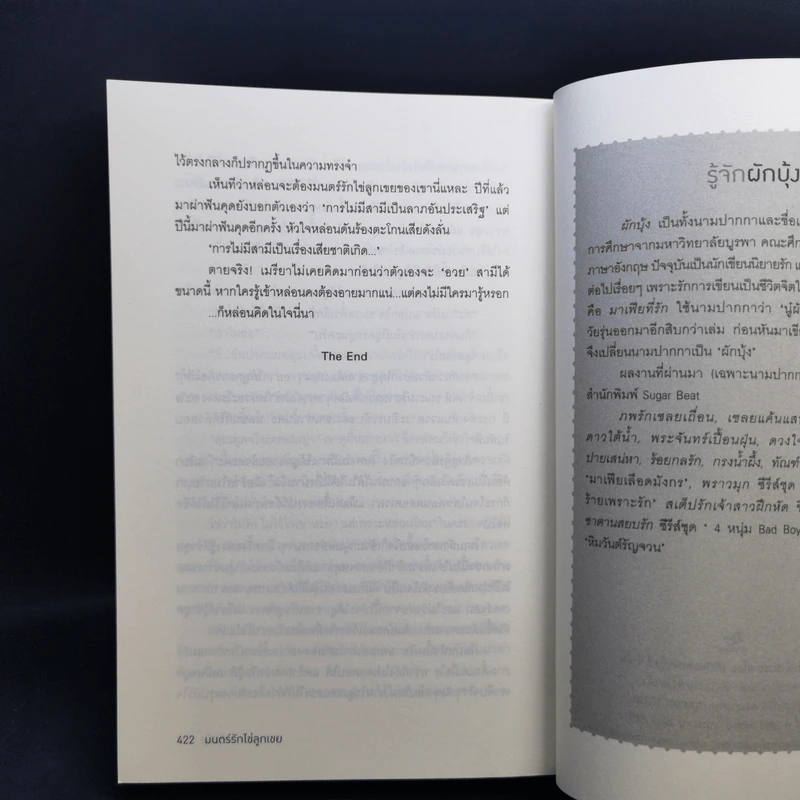 นิยายชุดซีรีส์เดชพ่อตา 5 เล่ม Boxset รูปที่ 16