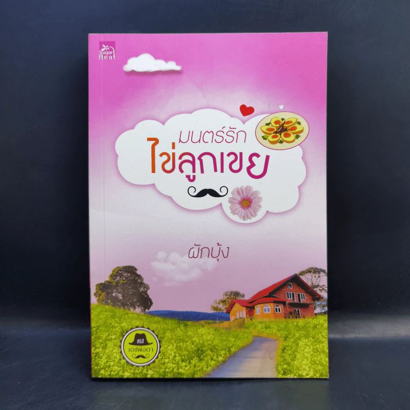 นิยายชุดซีรีส์เดชพ่อตา 5 เล่ม Boxset รูปที่ 14