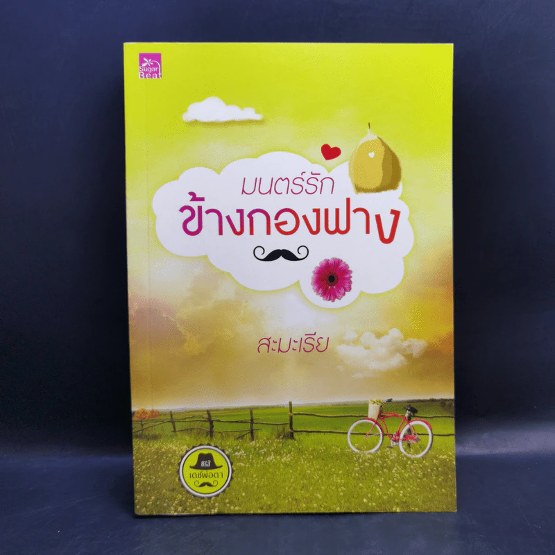 นิยายชุดซีรีส์เดชพ่อตา 5 เล่ม Boxset รูปที่ 10