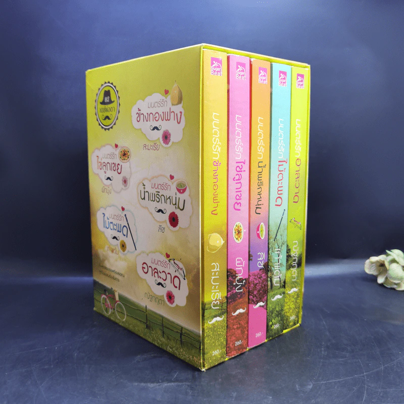 นิยายชุดซีรีส์เดชพ่อตา 5 เล่ม Boxset รูปที่ 3
