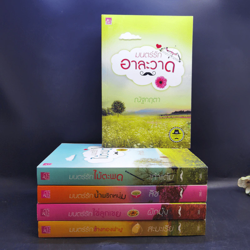 นิยายชุดซีรีส์เดชพ่อตา 5 เล่ม Boxset รูปที่ 4