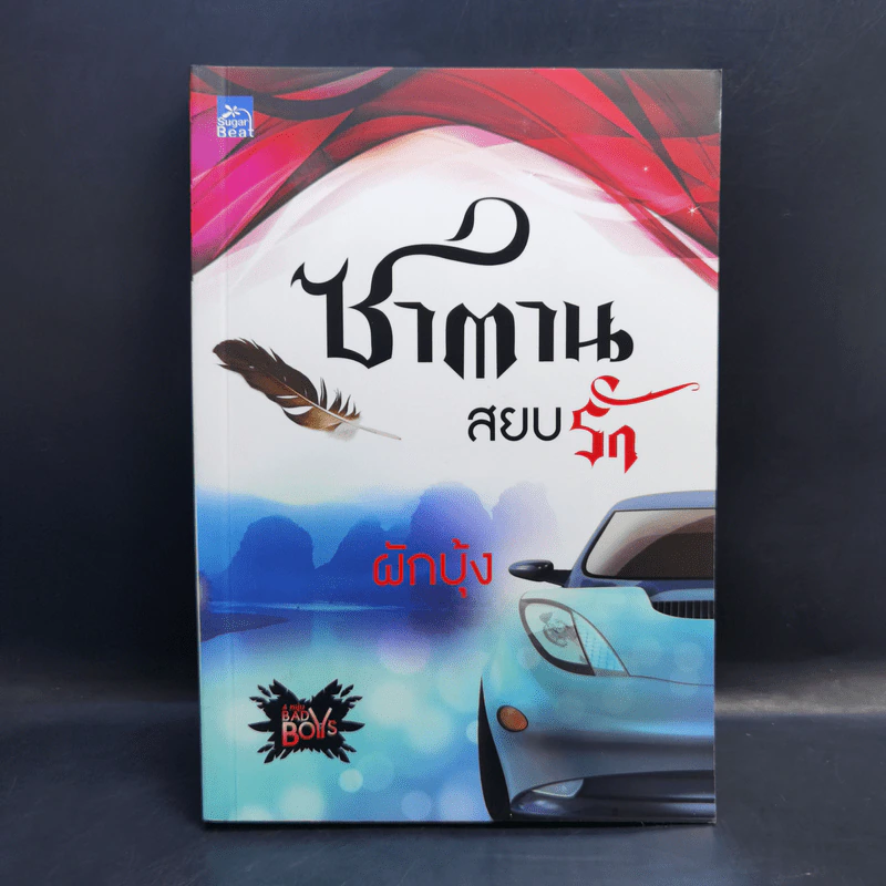 Boxset 4 หนุ่ม Bad Boys ซาตาน - สะมะเรีย, ผักบุ้ง, เก้าแต้ม, ลิซ รูปที่ 14