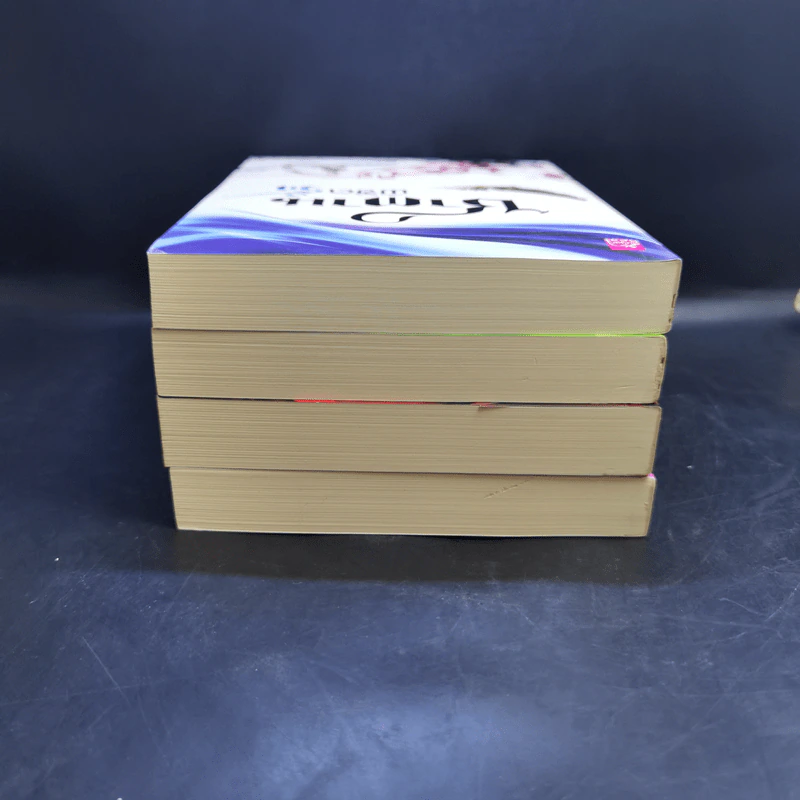 Boxset 4 หนุ่ม Bad Boys ซาตาน - สะมะเรีย, ผักบุ้ง, เก้าแต้ม, ลิซ รูปที่ 8