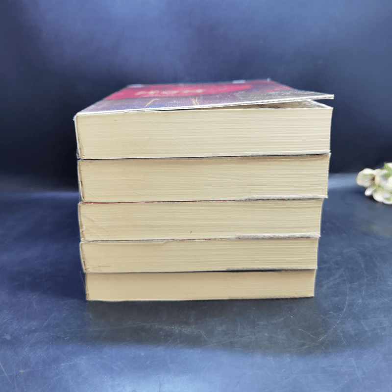 Boxset นิยายชุด มาเฟียเลือดมังกร 5 เล่ม ได้แก่ เสือ สิงห์ กระทิง แรด หงส์ - รพัด, ลิซ, ผักบุ้ง, ลิลลี่สีขาว, เรนนี่ รูปที่ 6