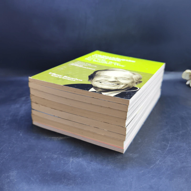 Boxset Touchpoints ทัชพอยต์ รู้จังหวะก้าวทันพัฒนาการลูกน้อย รูปที่ 9