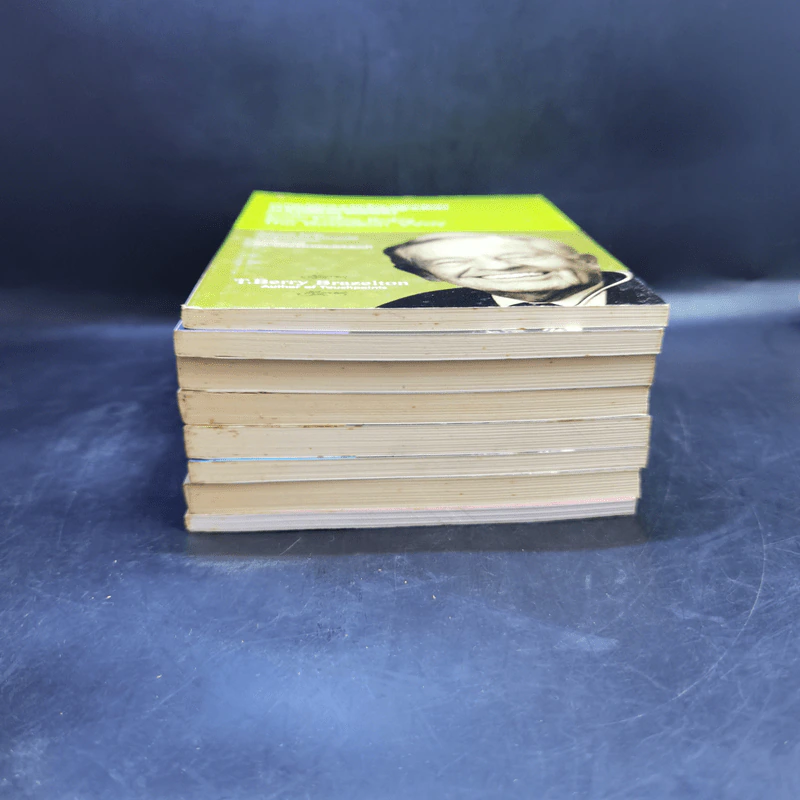 Boxset Touchpoints ทัชพอยต์ รู้จังหวะก้าวทันพัฒนาการลูกน้อย รูปที่ 6