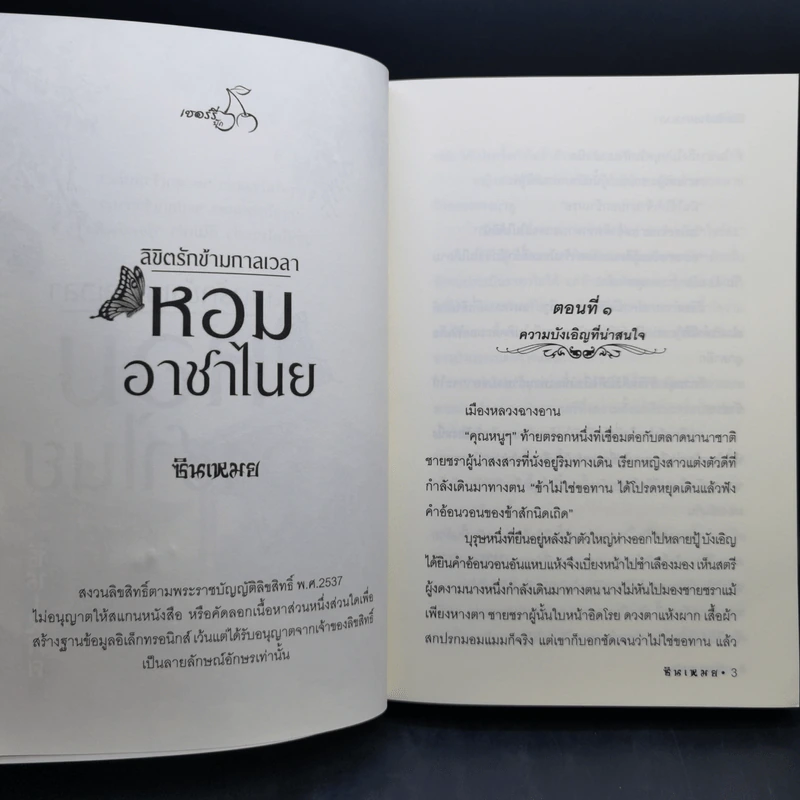 ลิขิตรักข้ามกาลเวลา หอมอาชาไนย - ซินเหมย รูปที่ 8