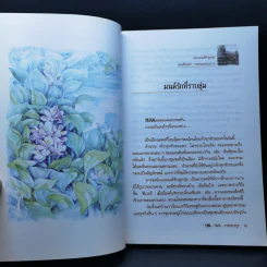 หอมดินเคล้ากลิ่นไอฝน - วัฒน์ วรรลยางกูร รูปที่ 10